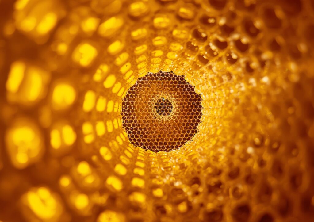 Bottlenecks vs. Chaos: Finding the Sweet Spot in Reporting Lines